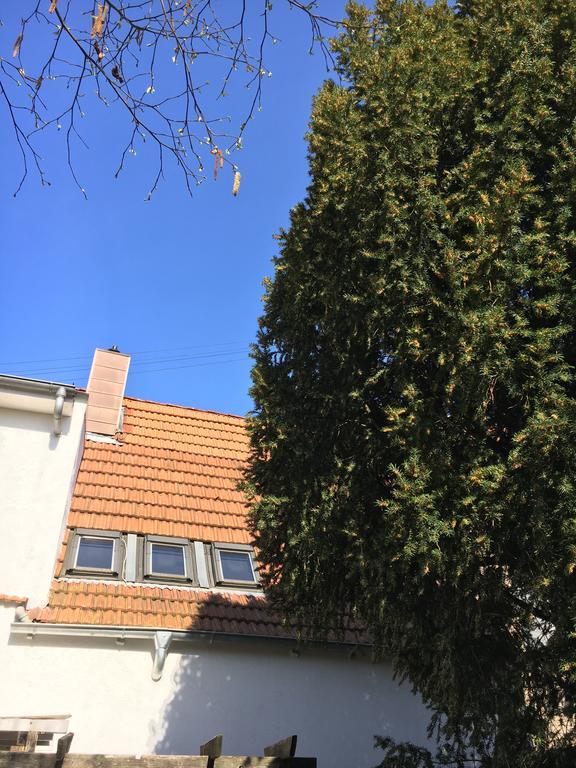 Pension Haus Baron 2 Friedrichsfeld Edingen-Neckarhausen ภายนอก รูปภาพ